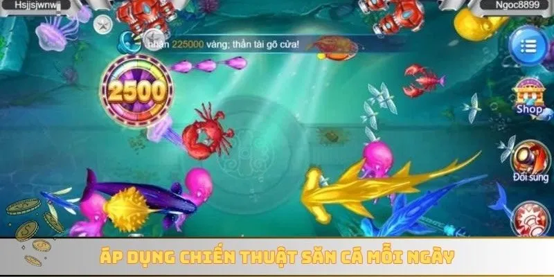 Áp dụng chiến thuật săn cá mỗi ngày