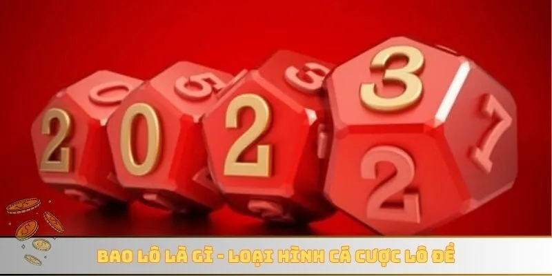 Bao lô là gì