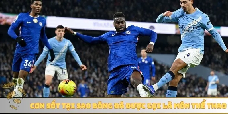 Cơn sốt tại sao bóng đá được gọi là môn thể thao vua