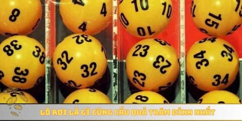 Lô rơi là gì cùng cầu quả trám đỉnh nhất