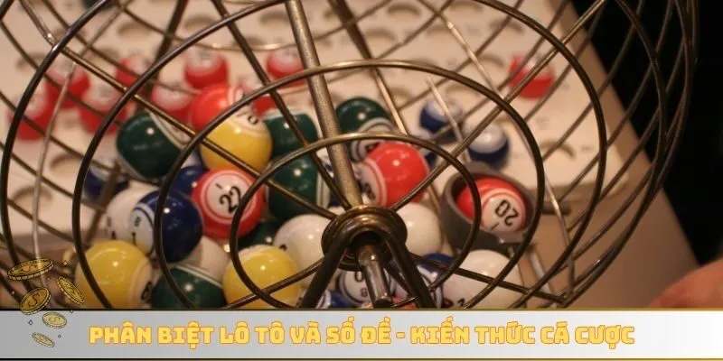 Phân biệt lô tô và số đề