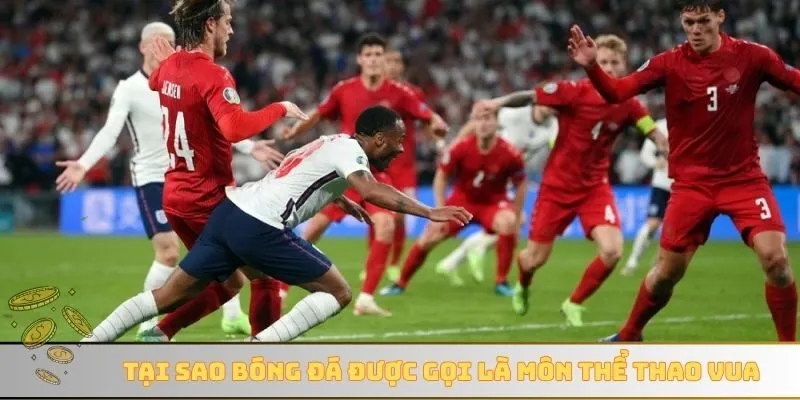 Tại sao bóng đá được gọi là môn thể thao vua